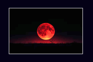 WEBSITE THUMBNAIL WITHOUT TICKER 2 4