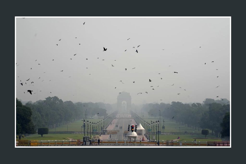 WEBSITE THUMBNAIL WITHOUT TICKER 17