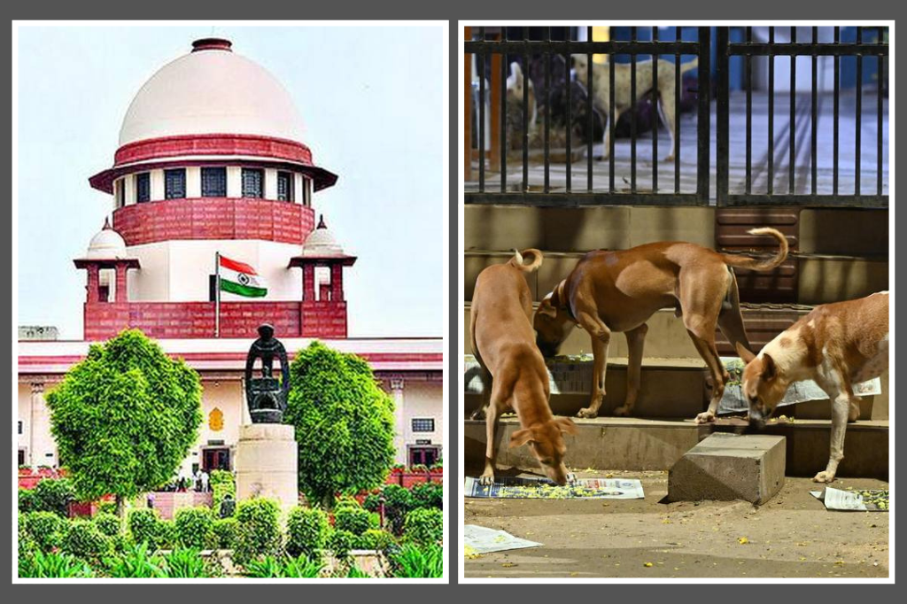 WEBSITE THUMBNAIL WITHOUT TICKER 13